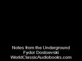 Audio Book Trailer: First Part of Notes from the Underground by Fyodor Dostoyevsky 8/20