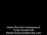 Audio Book Trailer: First Part of Notes from the Underground by Fyodor Dostoyevsky 20/20