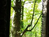 Régis fait une chute mortelle