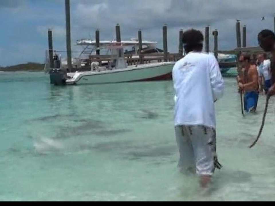 DIMANCHE 17 JUILLET "EXUMAS"