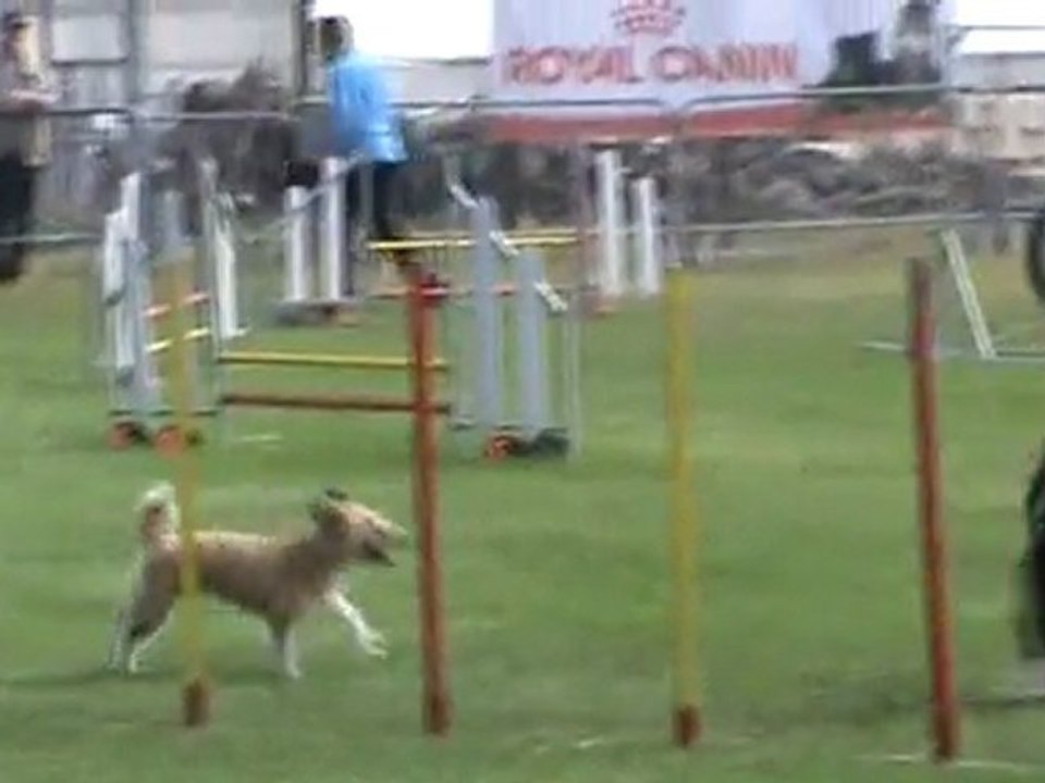 Flica Jumping Ingré 07 2011