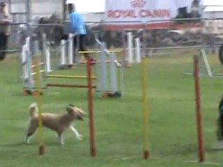 Flica Jumping Ingré 07 2011