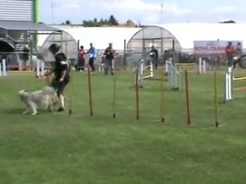 Choco Jumping Ingré 07 2011