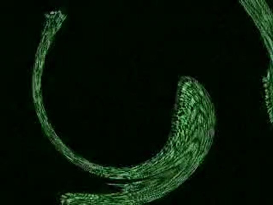 HÜSEYİN GEÇER ( ZURNA ) SELMA GEÇER