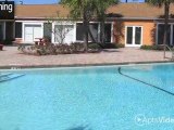 City Ridge Apartments in Jacksonville, FL - ForRent.com