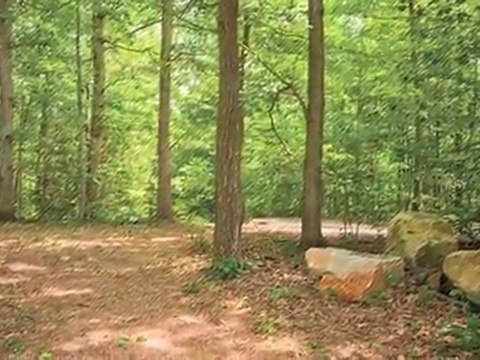 Springwoods at Lake Ridge Apartments in Woodbridge, VA ...