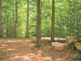 Springwoods at Lake Ridge Apartments in Woodbridge, VA ...