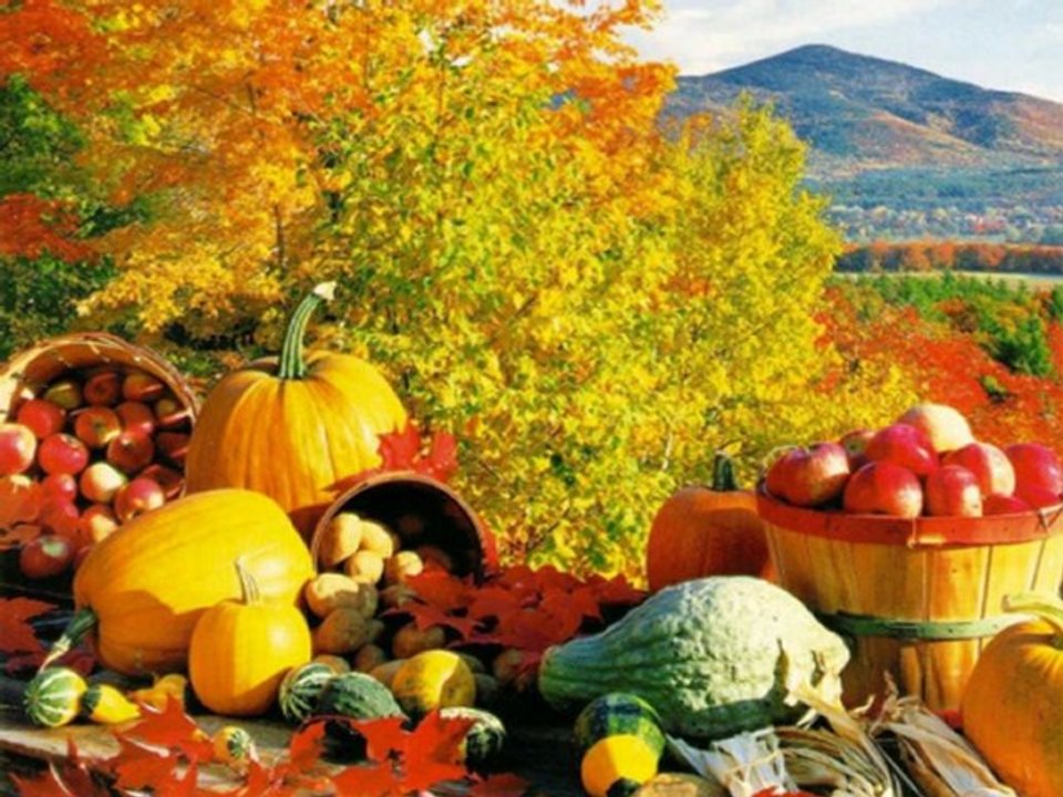 Harvest Home