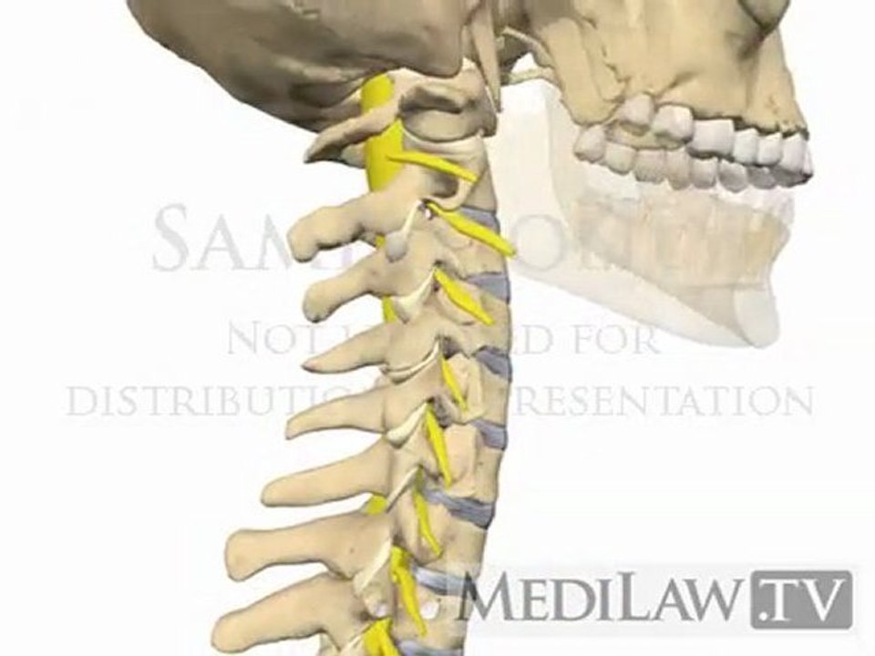 Cervical Spine Movement Rotation physiotherapy patient education animations