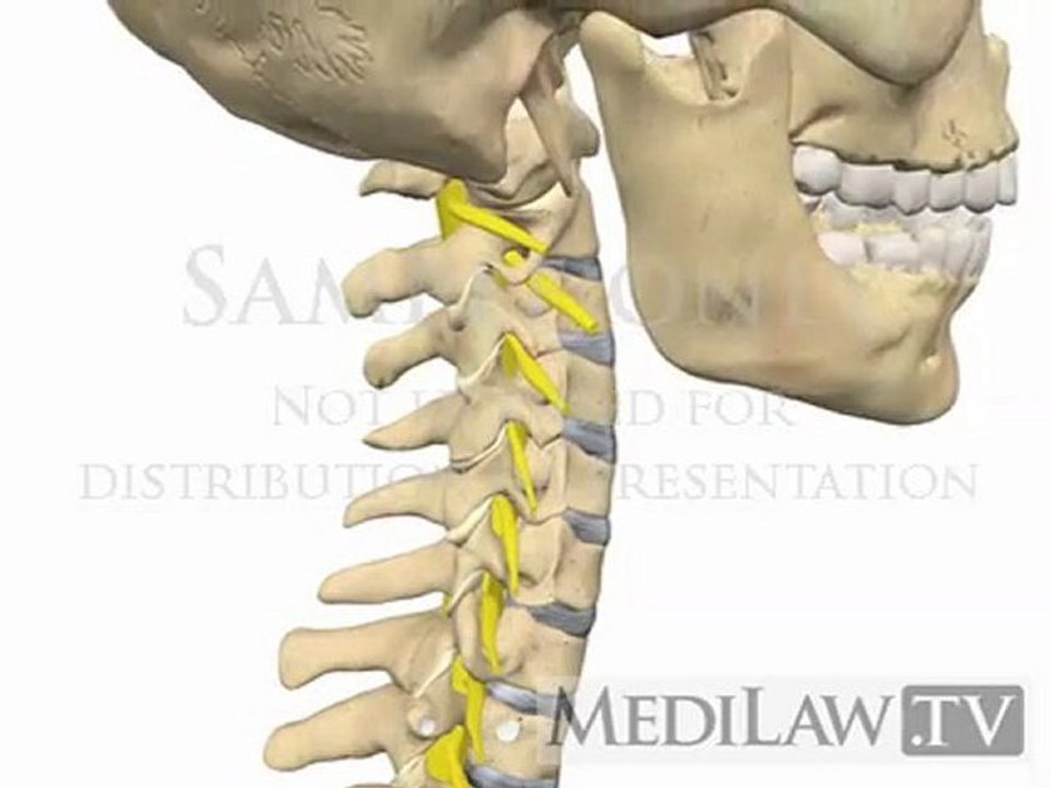 Cervical Spine Movement Lateral Flexion rheumatology illustrations