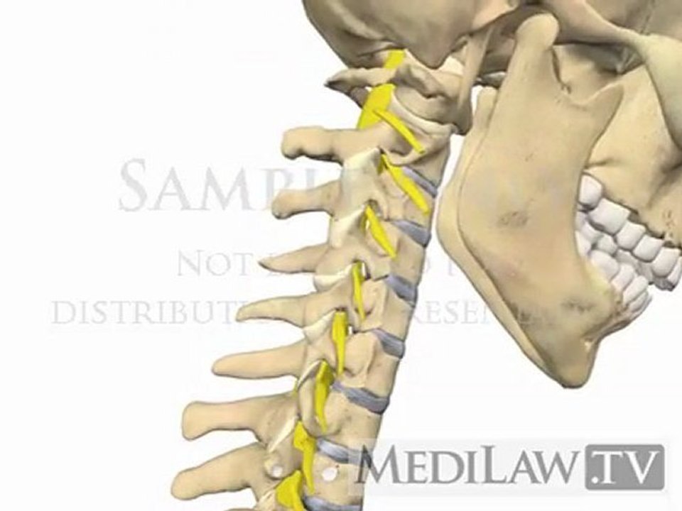 Cervical Spine Movement Flexion Extension rheumatologist art