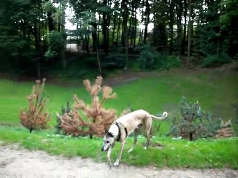 la paix du petit matin