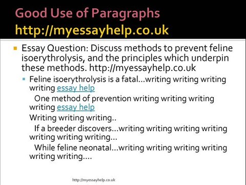 myessayhelp.co.uk for custom essay help services UK
