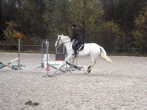 2 croix saut de puce :)