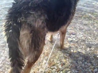 ο Φοιβος στη θαλασσα