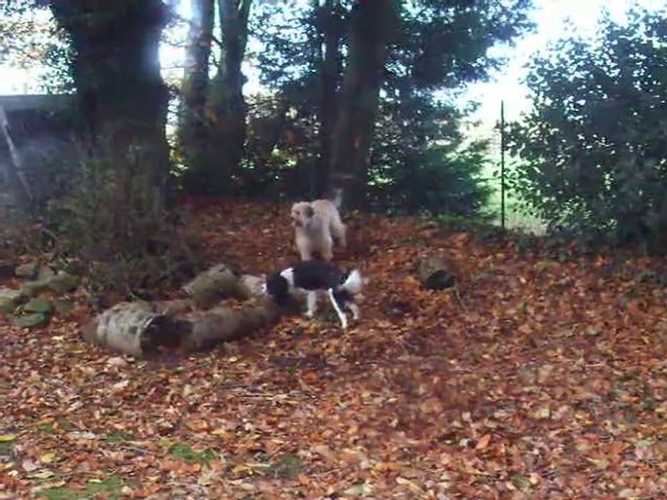 Dingle et Edy à fond