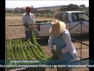 Poljoprivreda danas 12.11.2010.