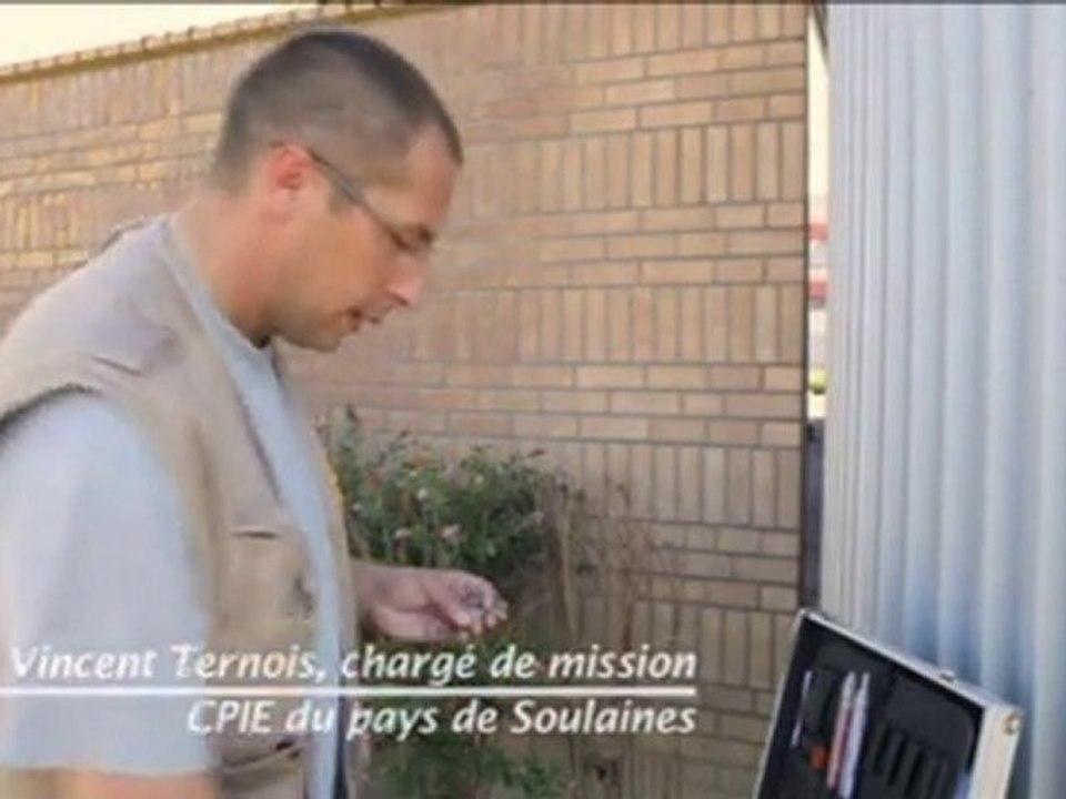 Première tour-nichoir à hirondelles sur un site industriel en France