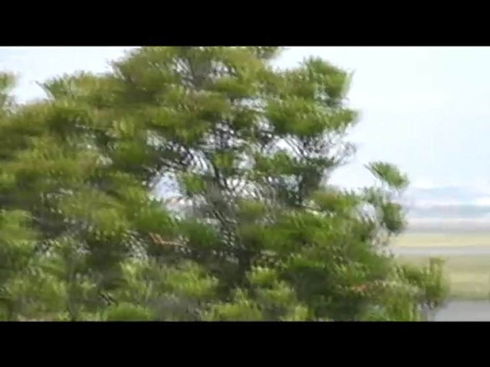 伊丹空港