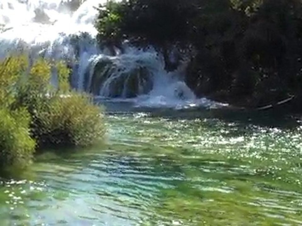 VID00011