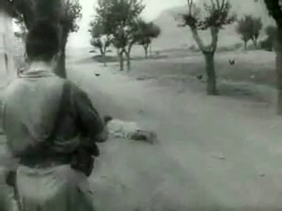 Min Jibalina