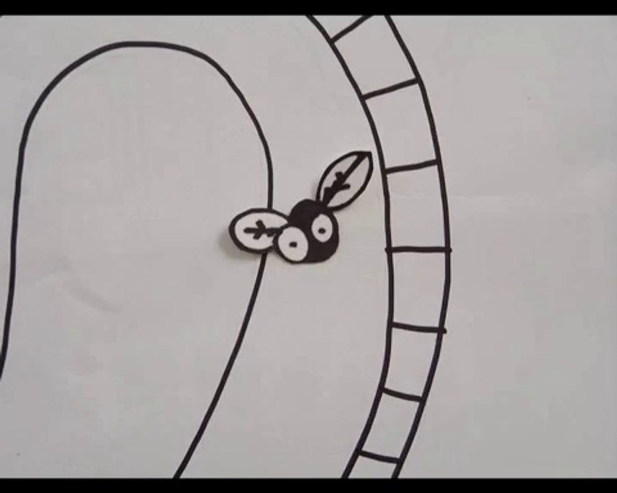 animation prévention.avi