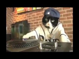 Dj CAT