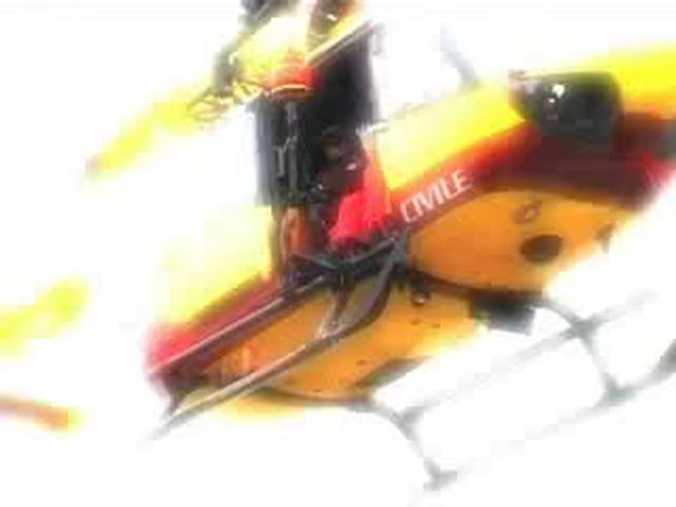 Brigade fluviale