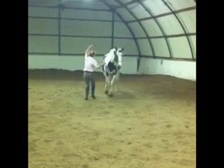 Diagonales Asp Trot
