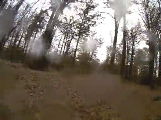 vtt forêt de senart