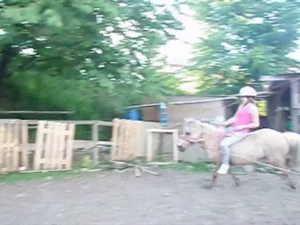 Les écuries de Laroche ; Le bétisier