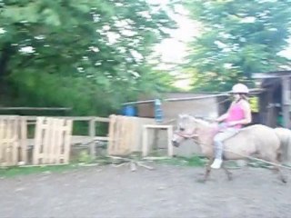 Les écuries de Laroche ; Le bétisier