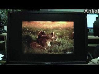 Guideline - Media Vantage - Full 1080P HD Media Player