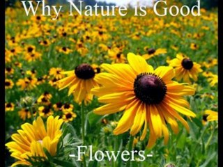 Why Nature is Good - Flowers