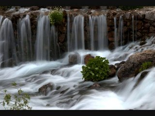 "tuza suyun doyduğu gibi" şener Aksu