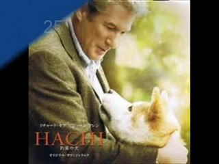 Hachi,Forum & Discussions 1