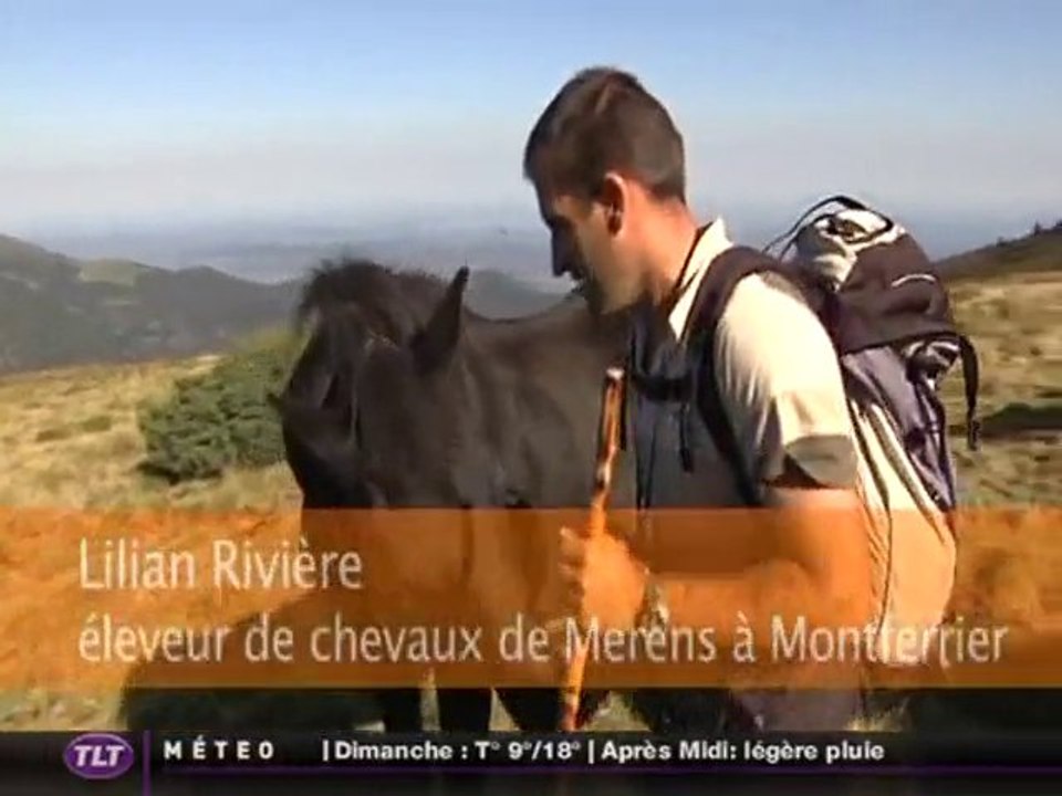 Le cheval de Merens (Ariège)