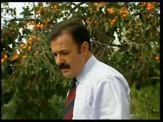 Çeşme (Ferdi Tayfur)