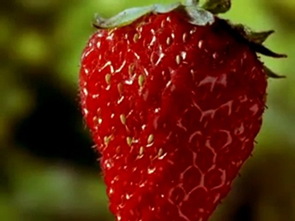 Saniye saniye Çileğin olgunlaşması