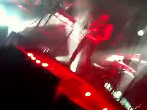 bloody beetroots concert 10 novembre 2010 (2)