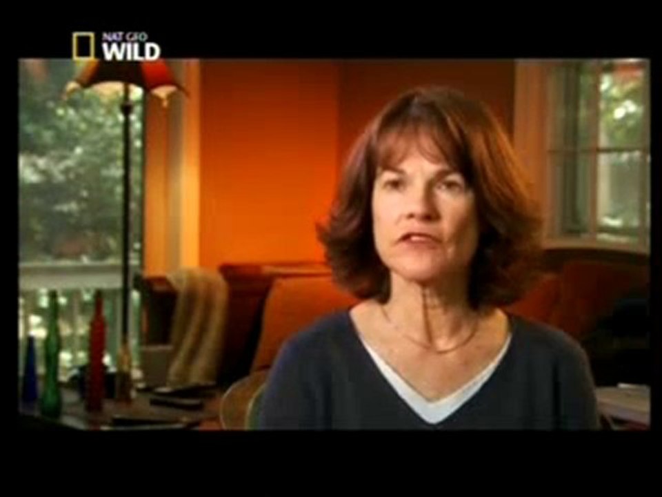 Un chien pas comme les autres