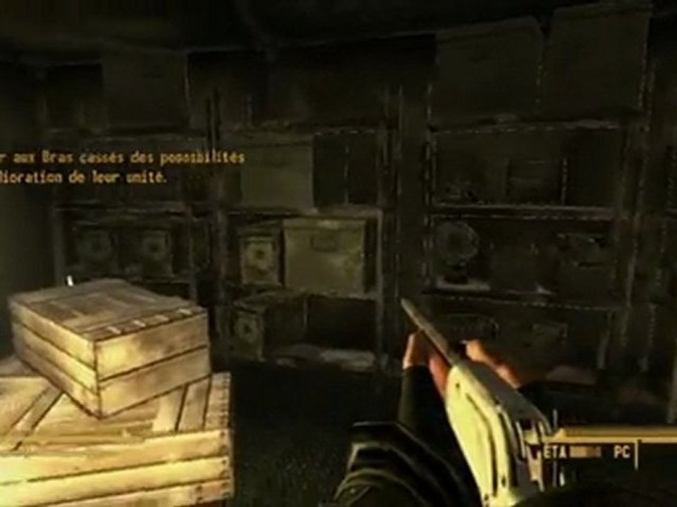 Bug Fallout New Vegas :  Un Aliasing exagéré