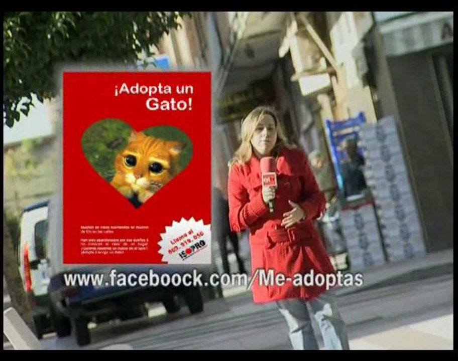 Programa Emprendedores