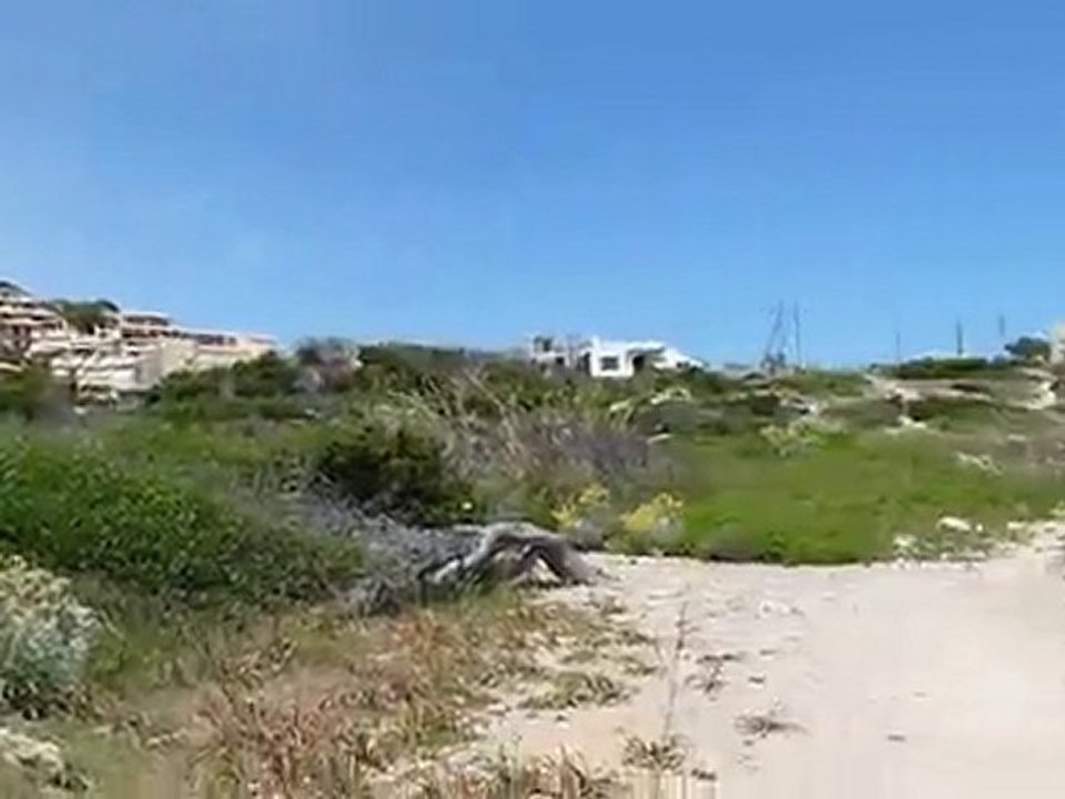 P1040832