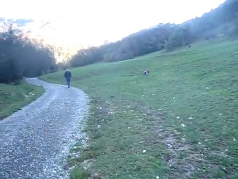 Jour de chasse...