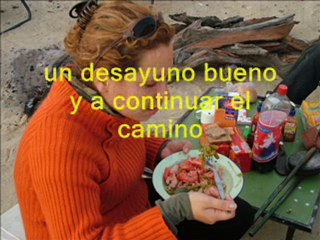 Explorando el desierto de Ica