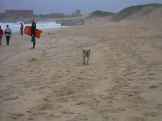 Capbreton plage des Océanides 06-11-2010