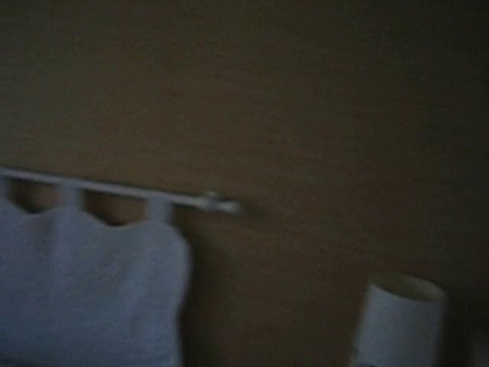 MVI_0141