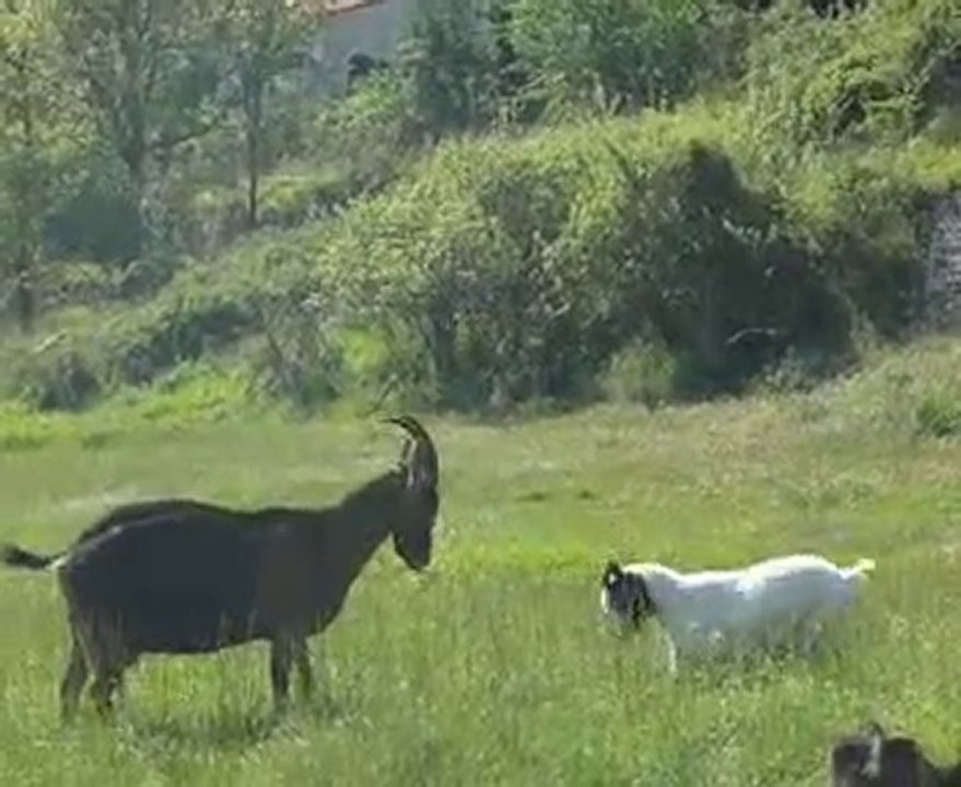 Jeu de bataille entre Lola et Léa