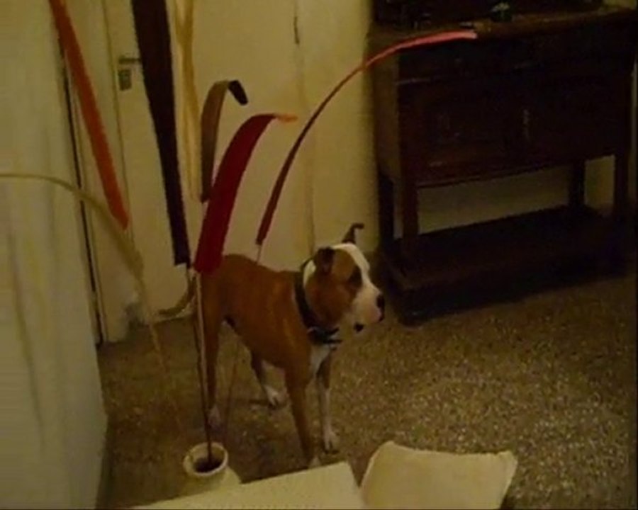 AQUILES